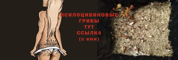 экстази Арсеньев